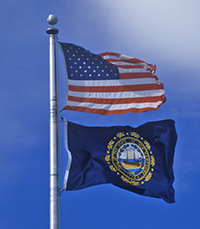 New Hampshire - State Flag